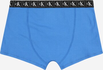 Calvin Klein Underwear Unterhose in Blau