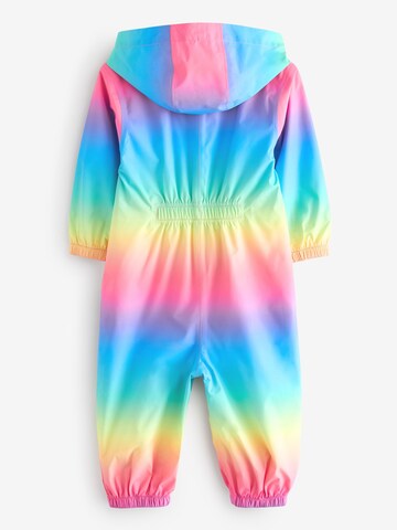 Completo funzionale di Next in colori misti