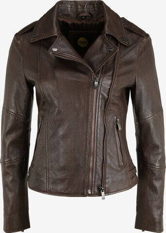 BUFFALO Between-Season Jacket 'Celebration' in Brown: front