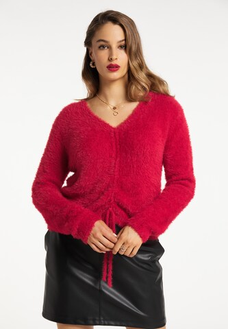 Pull-over faina en rouge : devant