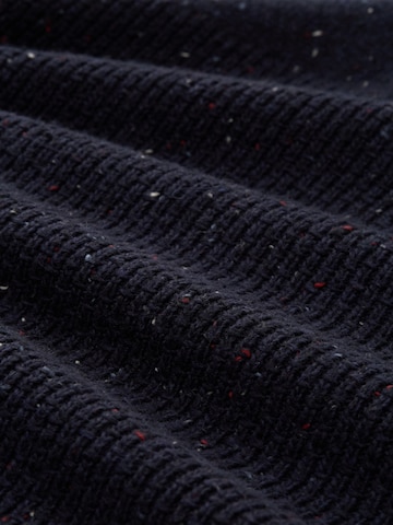 TOM TAILOR Trui in Blauw