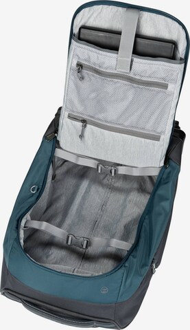 DEUTER Trolley in Grau