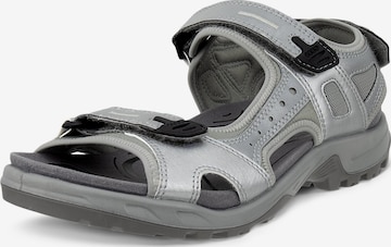 ECCO - Sandalias de trekking 'Offroad' en gris: frente