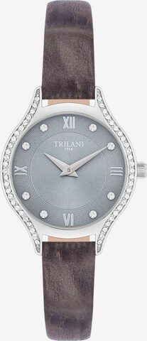 Trilani Analog Watch in Silver: front