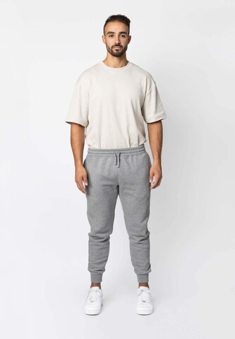 Effilé Pantalon SNOCKS en gris