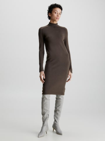 Calvin Klein Dress in Brown: front