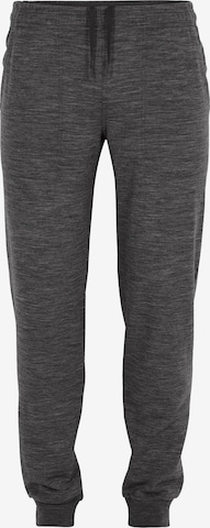 Slimfit Pantaloni per outdoor ' Shifter' di ICEBREAKER in grigio: frontale