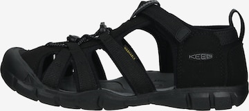 KEEN Sandalen 'Seacamp' in Zwart