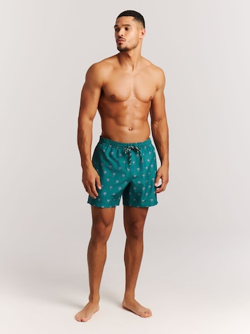 PROTEST Board Shorts 'PRTMascot' in Green