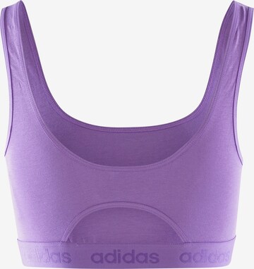 Bustier Soutien-gorge de sport ' CROP BRA ' ADIDAS SPORTSWEAR en violet