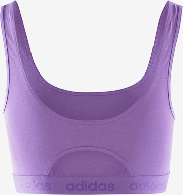 ADIDAS SPORTSWEAR Bustier Sport bh ' CROP BRA ' in Lila