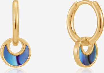 ANIA HAIE Earrings in Gold: front