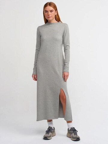 Dilvin Knit dress in Grey: front