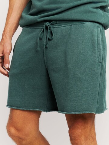 PROTEST Regular Pants 'PRTGalvan' in Green