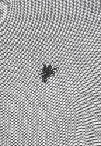 DENIM CULTURE Klasický střih Košile 'Evan' – šedá