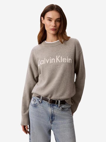 Calvin Klein Jeans Pullover 'LV044G313G' i grå: forside