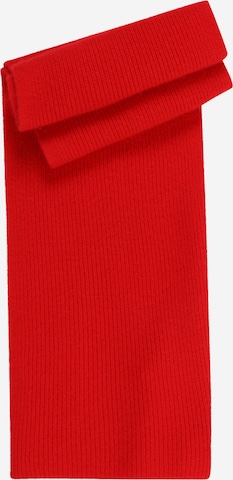 raudona & Other Stories Šalikas: priekis