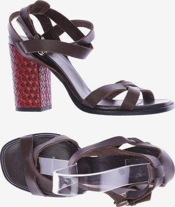 POLLINI Sandals & High-Heeled Sandals in 36,5 in Brown: front