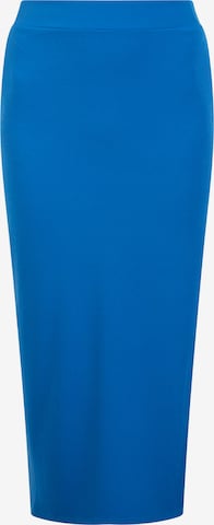 faina Skirt in Blue: front