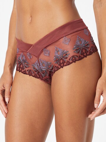 Chantelle Panty 'CHAMPS ELYSEES' in Brown: front