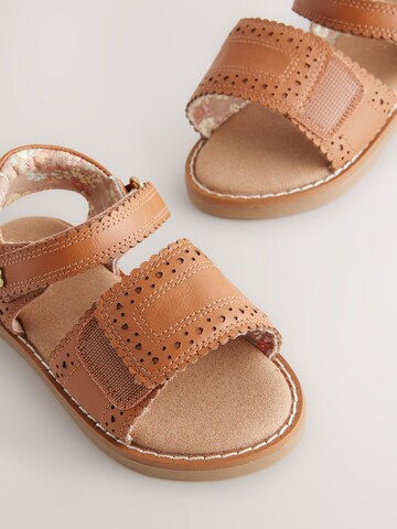 Next Sandals in Brown