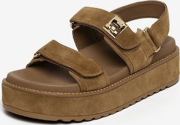 Sandalo di STEVE MADDEN in marrone: frontale