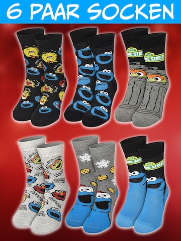 SESAMSTRASSE Socken 'Adventskalender mit 12 Paar'‌‌‌ in Mischfarben