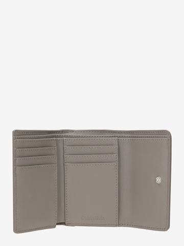 Calvin Klein Wallet in Beige