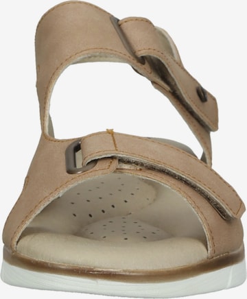 Arcopedico Sandalen met riem in Bruin