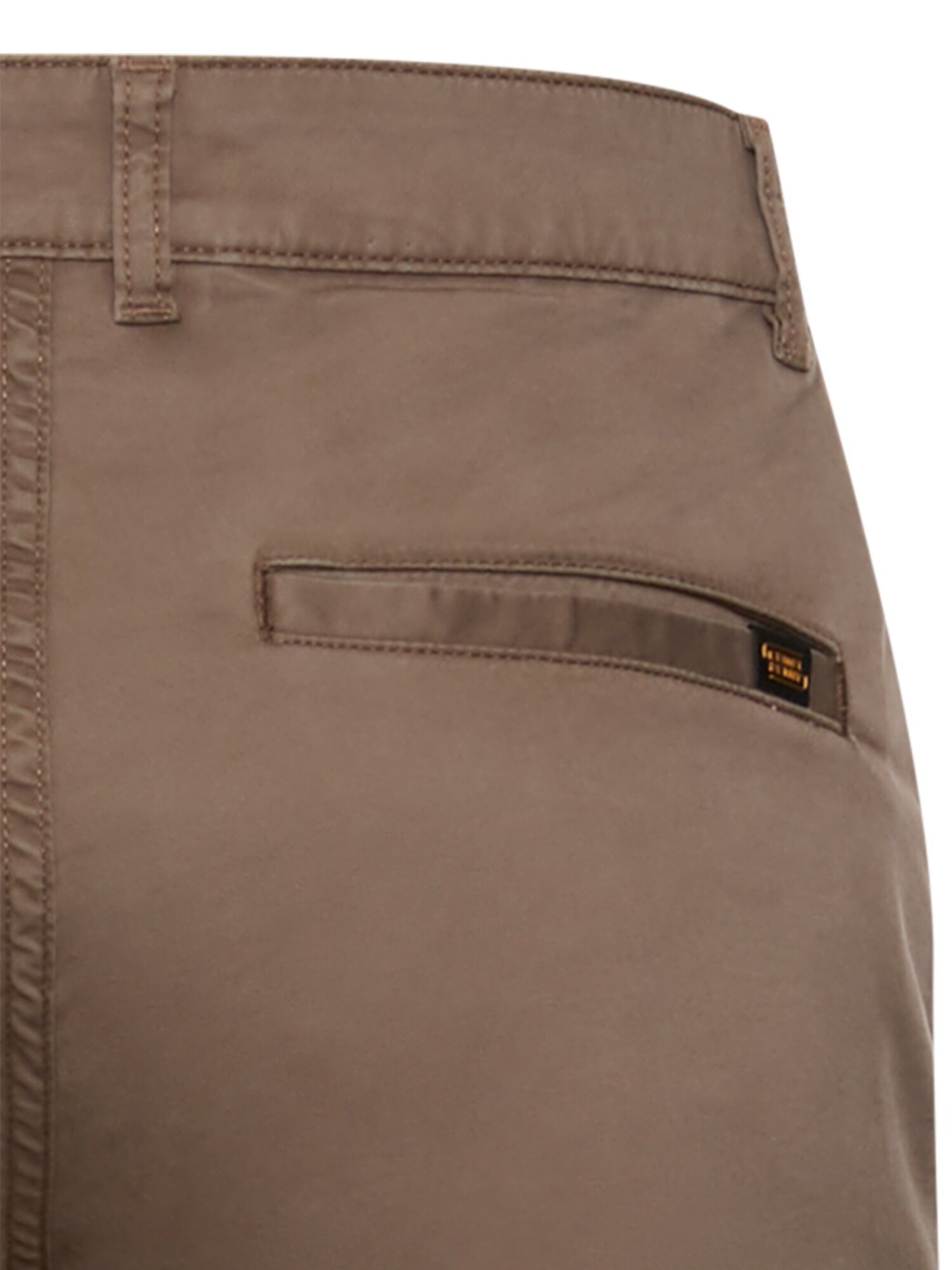 CAMEL ACTIVE Regular Pants in Brown