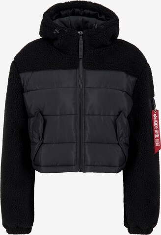 Giacca invernale di ALPHA INDUSTRIES in grigio: frontale