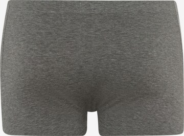 Hanro Boxer shorts in Grey