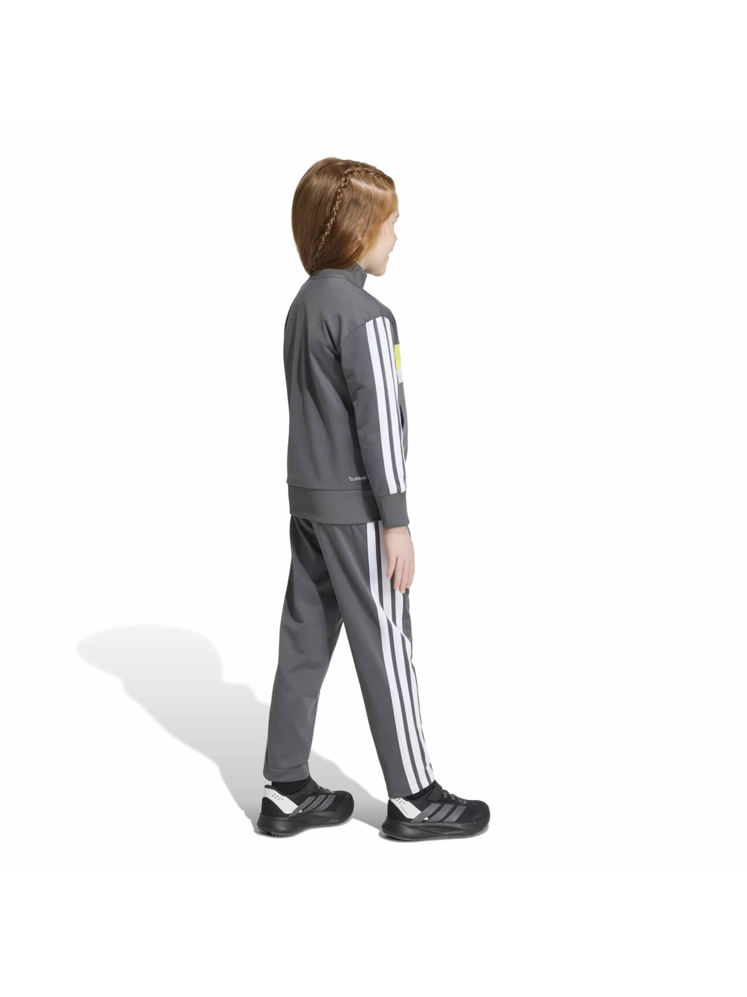 ADIDAS SPORTSWEAR Тренировочный костюм 'Seasonal Essentials Tiberio' в Серый