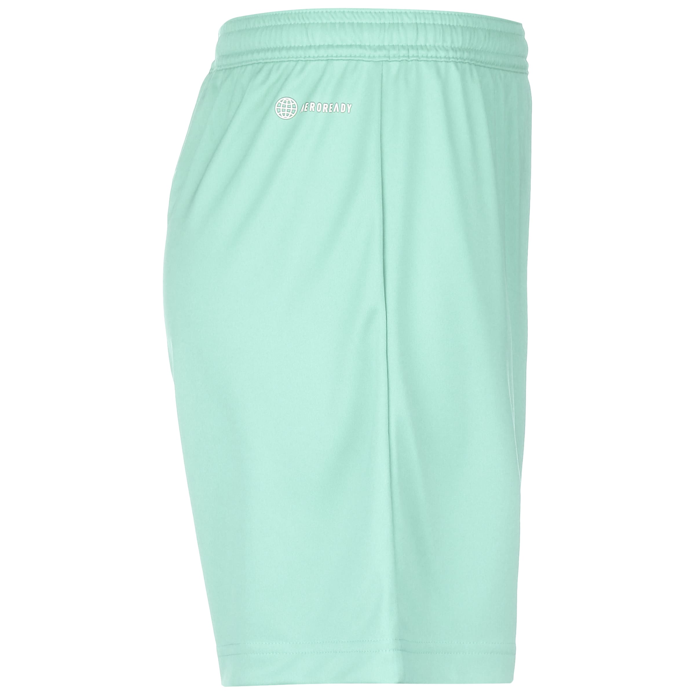 ADIDAS PERFORMANCE Regular Workout Pants 'Entrada 22' in Green