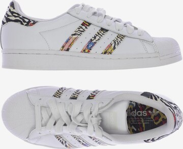 ADIDAS ORIGINALS Sneakers & Trainers in 41,5 in White: front