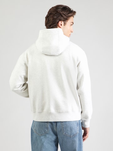 Abercrombie & Fitch Sweatshirt in Grey