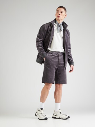 Regular Pantalon 'Corvin' Iriedaily en gris