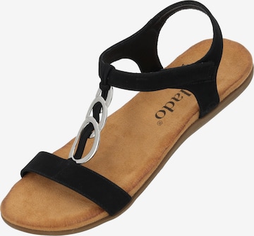 Sandales à lanières 'Uleto' Palado en noir : devant