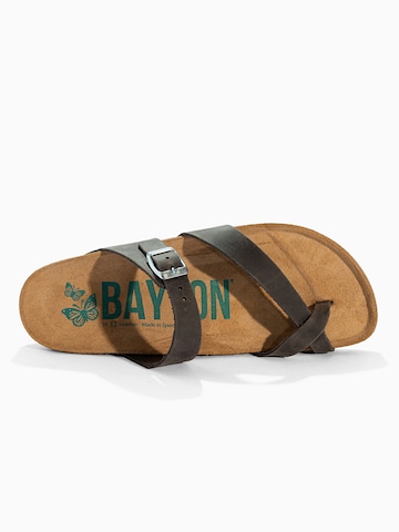 Bayton Varbavaheplätu 'DIANE', värv hall