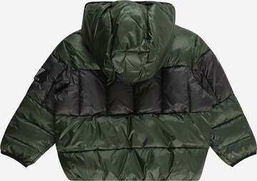 EA7 Emporio Armani Zimska jakna | zelena barva