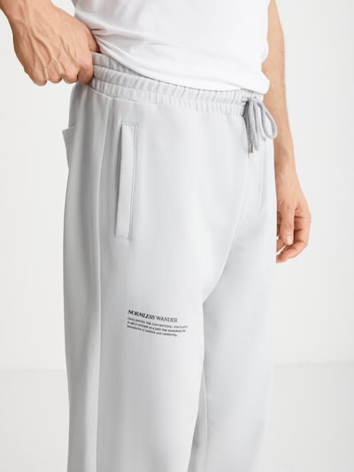 Grimelange Trousers in Light grey, Item view