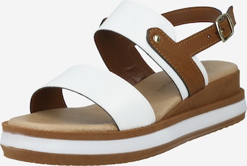 TATA Italia Strap sandal in White: front