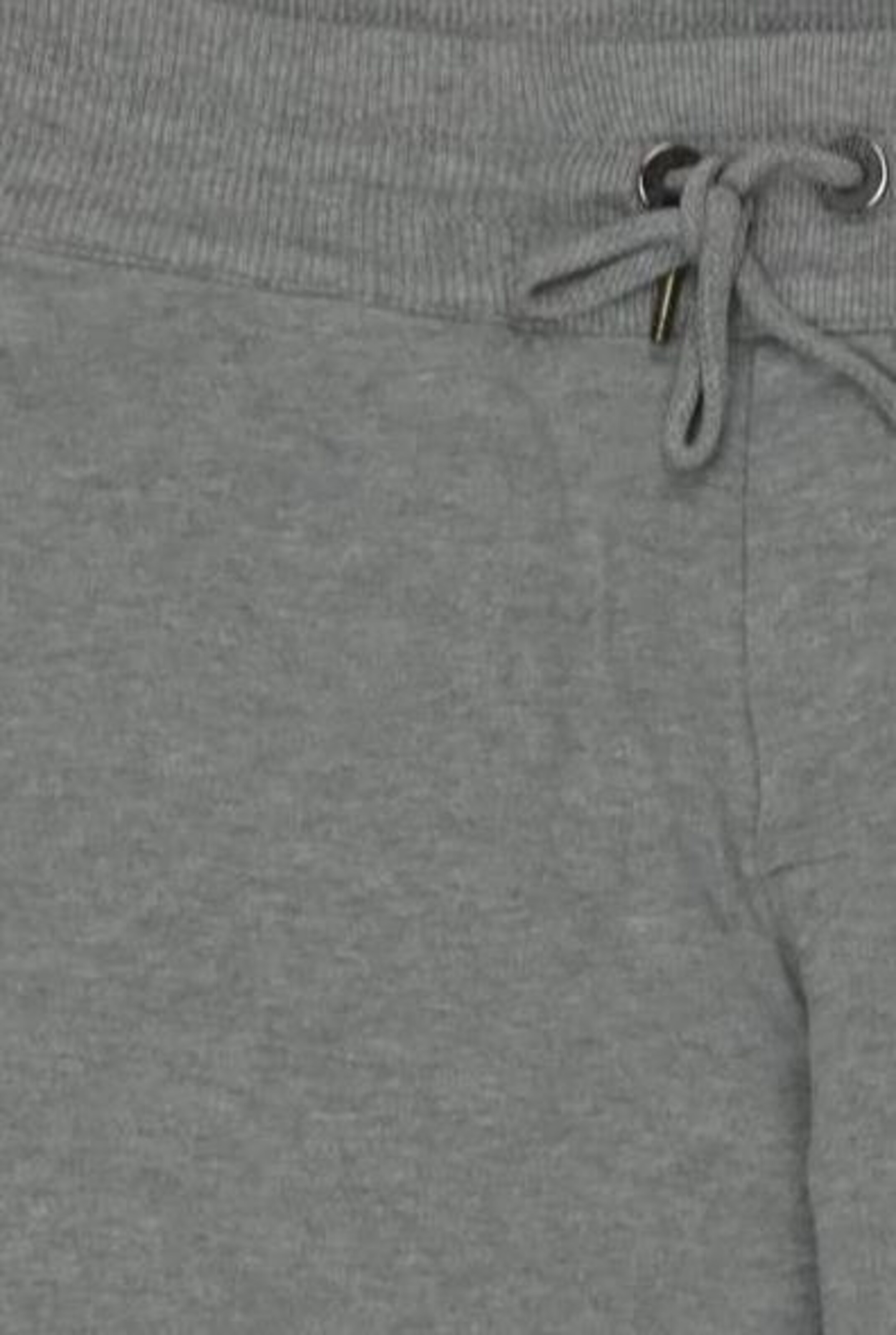 BIKKEMBERGS Shorts 31-32 in Grau