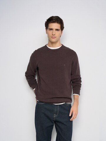 Salsa Jeans Trui in Bruin: voorkant