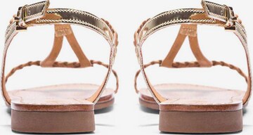 Kazar Strap Sandals in Gold