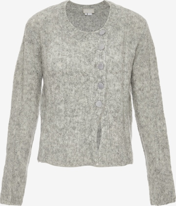 Jalene Knit Cardigan in Grey: front