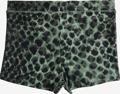 Next Bikinihose in S in mint / schilf / schwarz, Produktansicht