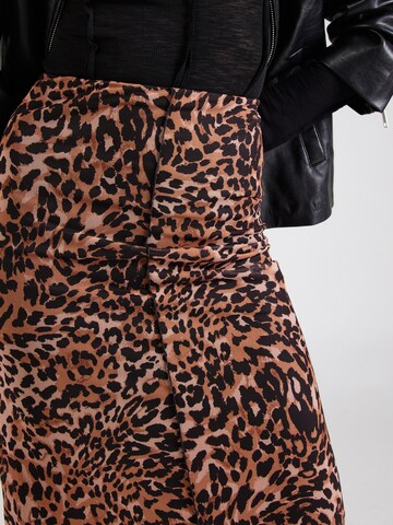 Noisy may Skirt 'NMELIF' in Brown