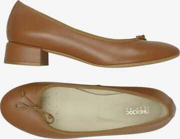 GEOX Flats & Loafers in 39 in Brown: front