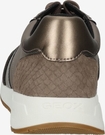 Sneaker bassa di GEOX in marrone